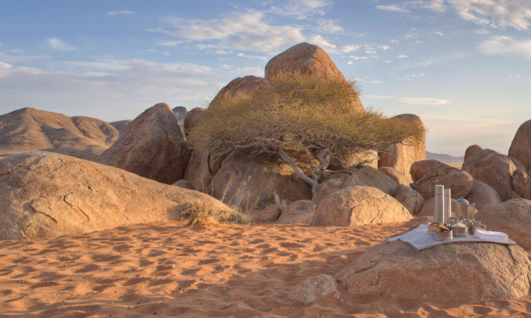 Etosha Heights Private Game Reserve - Wildlife Safaris & Luxury Lodges