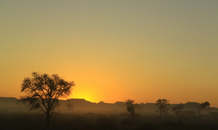 Etosha National Park Conservation - Protecting Rhinos, Lions & Wildlife