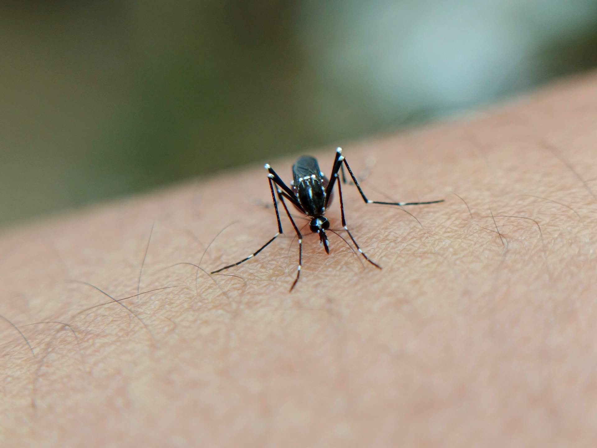 Malaria Etosha National Park