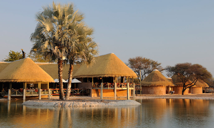 Onguma Collection Lodges Near Etosha National Park